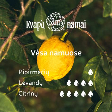 Kvapų malšinimo papildymas eteriniais aliejais