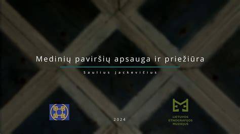 Siūlių priežiūra ir paviršių švarinimas