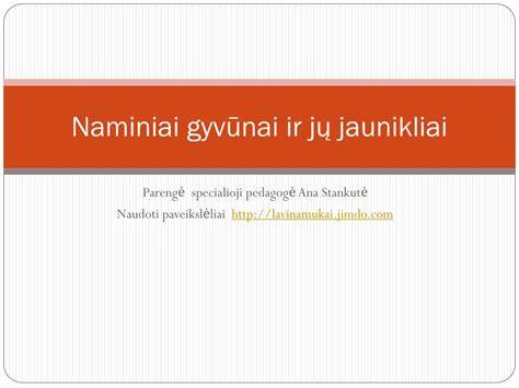 Naminiai plovikliai ir jų privalumai