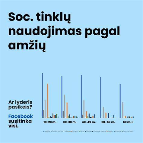 Infografika: Armatūros tinklai, fibrų tipai ir jų paskirtis
