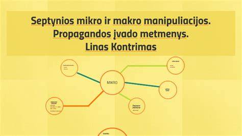 Infografika: Mikro ir makro fibrų taikymas cemento mišiniuose
