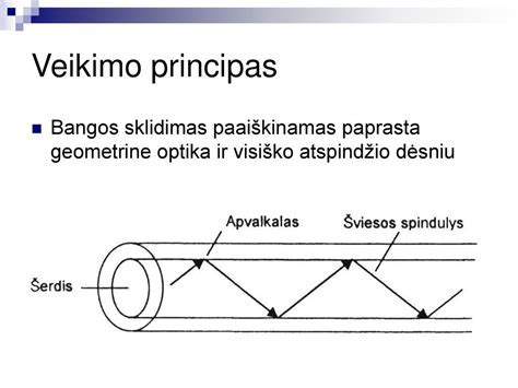 Pelėsių šalinimo priemonės ir jų veikimo principas