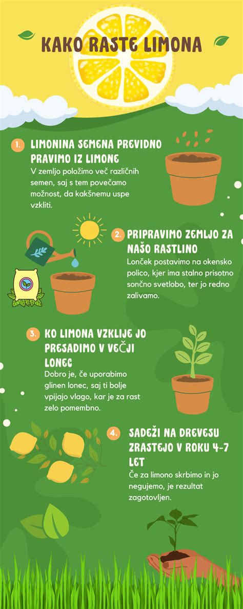 Infografika: palėpės šiltinimo skirtys