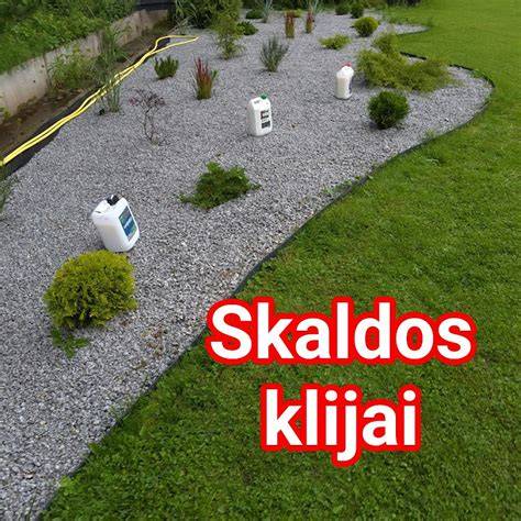 pristatymas_savivartis_skaldos