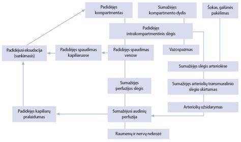 Audinių suspaudimo sindromas schematiškai