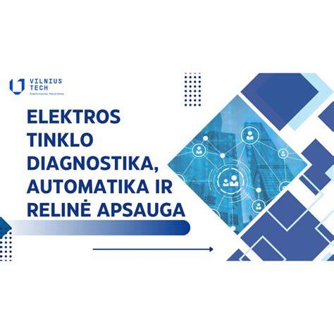 armavimo_tinklo_laikikliai_infografika