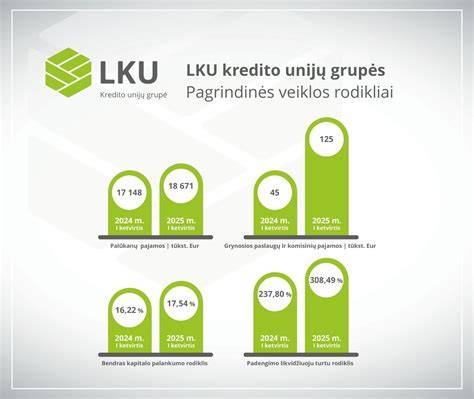 Infografika: įmonės veiklos rodikliai 2024-2025 m. laikotarpyje