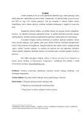 Storių pasirinkimo įtaka karkaso stabilumui