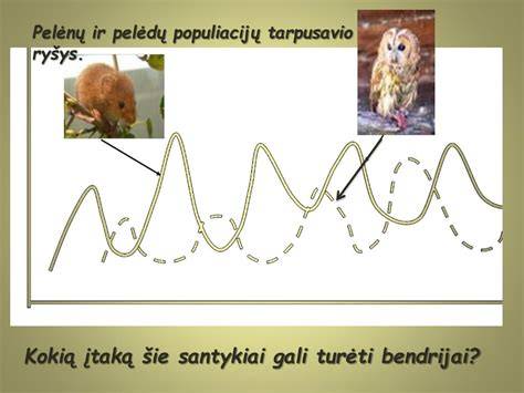 Grafikas: mišinio santykiai ir vandens norma