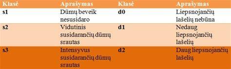 Liepsnojančių lašelių ir dūmų bandymų principas