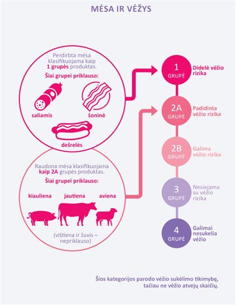 Infografika: klijų pasirinkimo ir paruošimo žingsniai