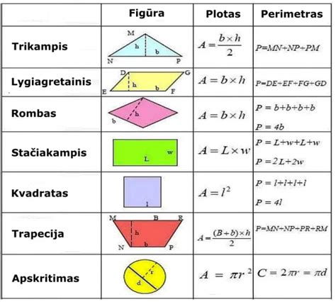 Infografika: Lentos svorio skaičiavimo formulė ir parametrai