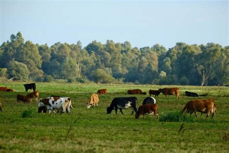 Infografika: kaip pasirinkti grindų mišinius pagal apkrovą ir sluoksnio storį