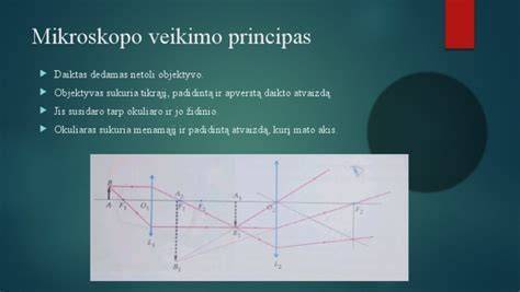 Vizualinė diagrama apie slapukų tipų naudojimą svetainėje