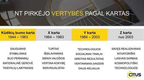 Infografika: PPP modelio dėstymas NT vystymo kontekste