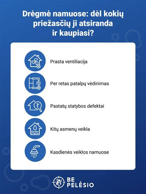 Infografika su patarimais dėl paviršiaus paruošimo: drėgmė, švarumas, džiūvimo laikai