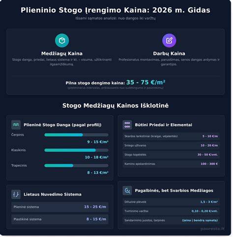 Infografika: veiksniai lemia stogo dengimo kainą