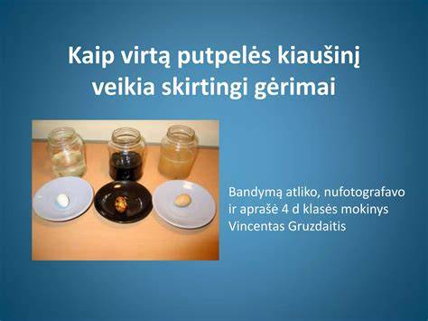 Infografika: kaip veikia skirtingi grindų valymo prietaisai