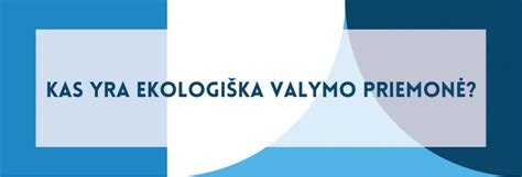 Įrankių ir valymo priemonių naudojimo schema infografika