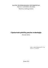 Infografika: VMG plokščių gamybos technologija ir plėtros klausimai