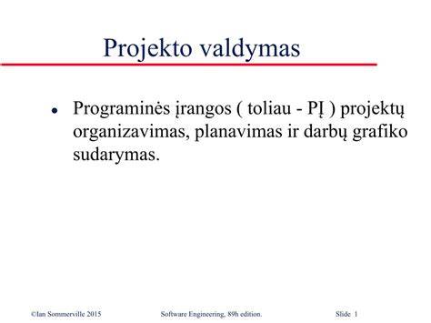 projekto valdymas planavimas ir tinklų infrastruktūra