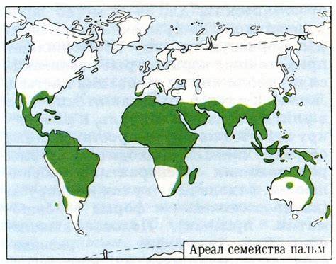 mapa kakavos augimo regionai pasaulyje