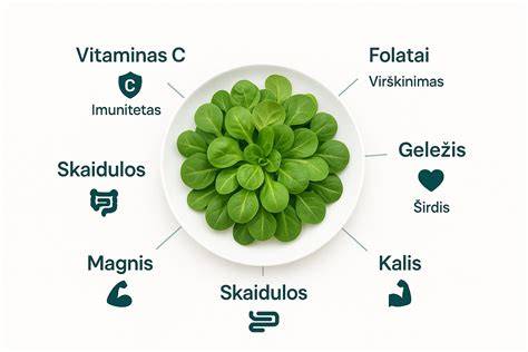 Infografika: HPL sluoksnių sandara ir nauda