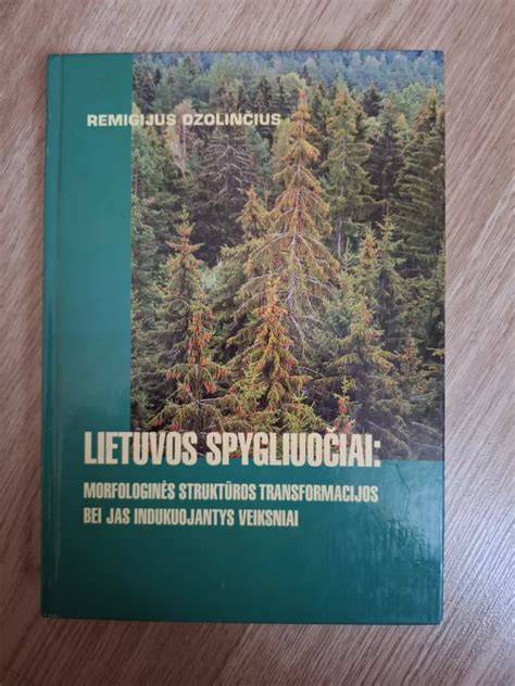 Kainų struktūros iliustracija: veiksniai lemantys kainą