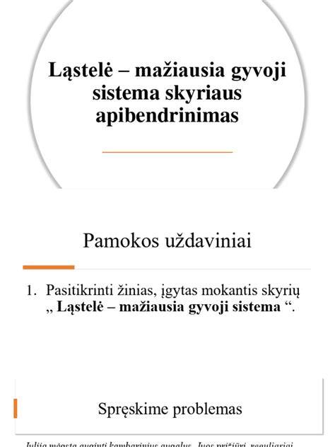 Infografika: Drenažo sistema skyriaus komponentai