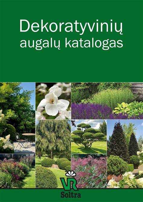 Augalų želdinimo kriterijai šlaite