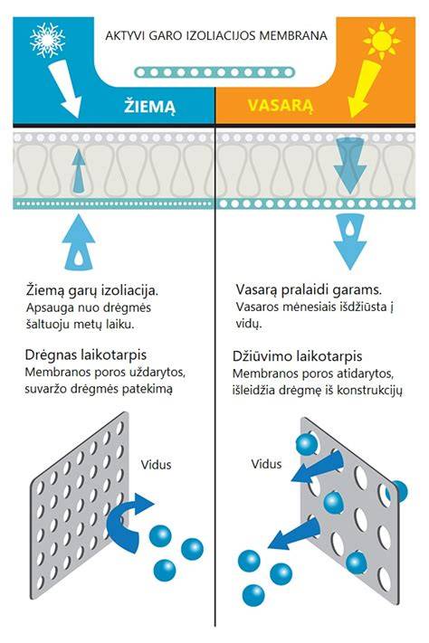 Infografika: garo izoliacijos principas