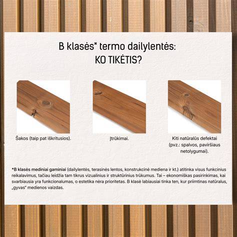 Infografika apie medienos rūšis ir jų taikymo sritis