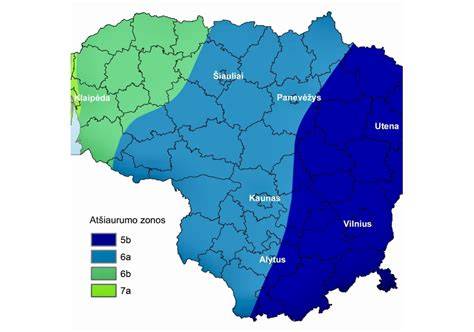 Mapa: Pristatymo zona Lietuvoje