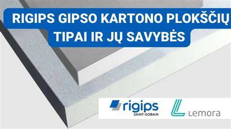 Infografika: Gipso kartono plokščių tipai ir jų savybės