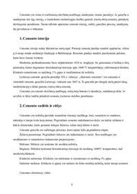 Infografika: Romos cemento sudėtis ir sąveika