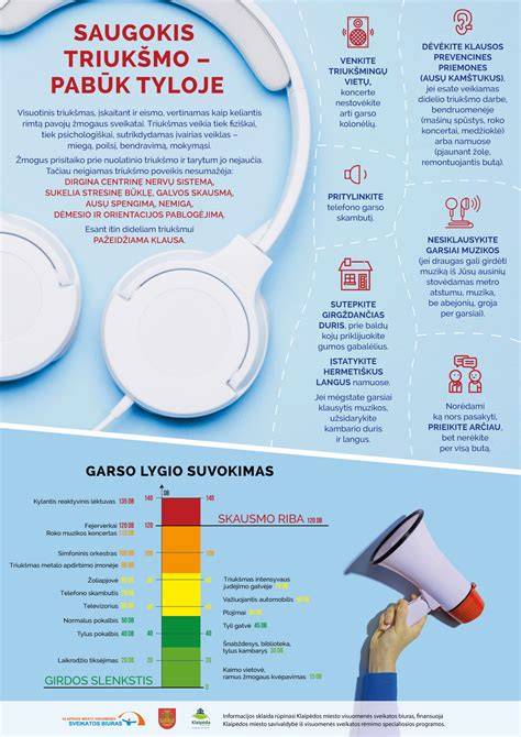 Infografika: triukšmo šaltiniai ir izoliacijos efektas Mazda 6