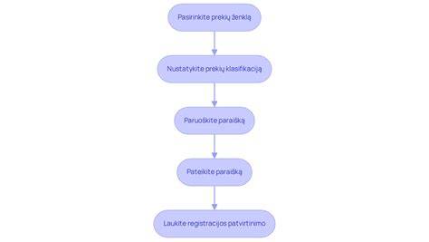 Infografika: Dažymo proceso žingsniai laminatui