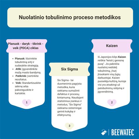 Infografika: C24 medienos apibrėžimas ir vertinimo procesas