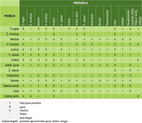 Dažymo priemonių palyginimo lentelė (infografika)