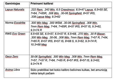 Bešvinės amunicijos struktūrinis pjūvis