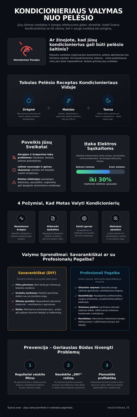 profesionalus paviršiaus valymas nuo pelėsio