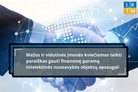Įmonės struktūra ir nuosavybės sudėtis (infografika)