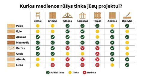 Infographic: statybinės medienos pasirinkimo kriterijai ir sandėlio pozicijos Kaišiadoryse