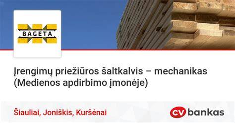 Gamtinio gydymo ir įrengimų infografika: medienos apdirbimo procesai