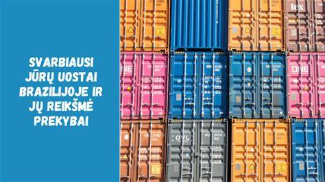 Infografika: Pagrindiniai profilio laukeliai ir jų reikšmė