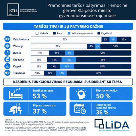 Infografika: plytelių kalibrų ir tarpu dydžių schema