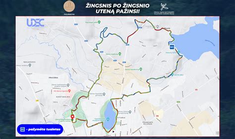 Infografika: žingsnis po žingsnio hidroizoliacijos tvarka