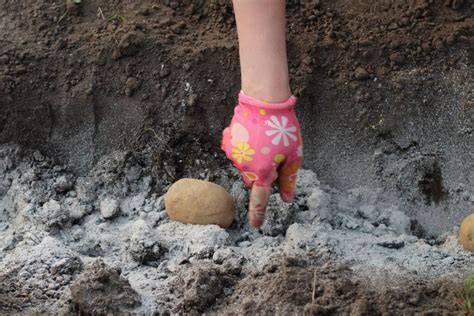 Tikslus infragrįvimas: ryžių lukštų pelenai betono užpildui