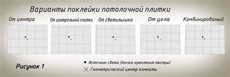 Infografika: klijavimo etapai veidrodėliams