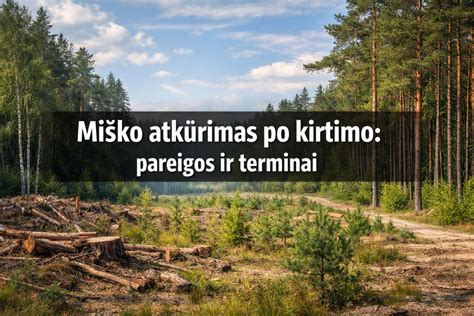 miško medienos sortimentai ir kirtimo atliekos